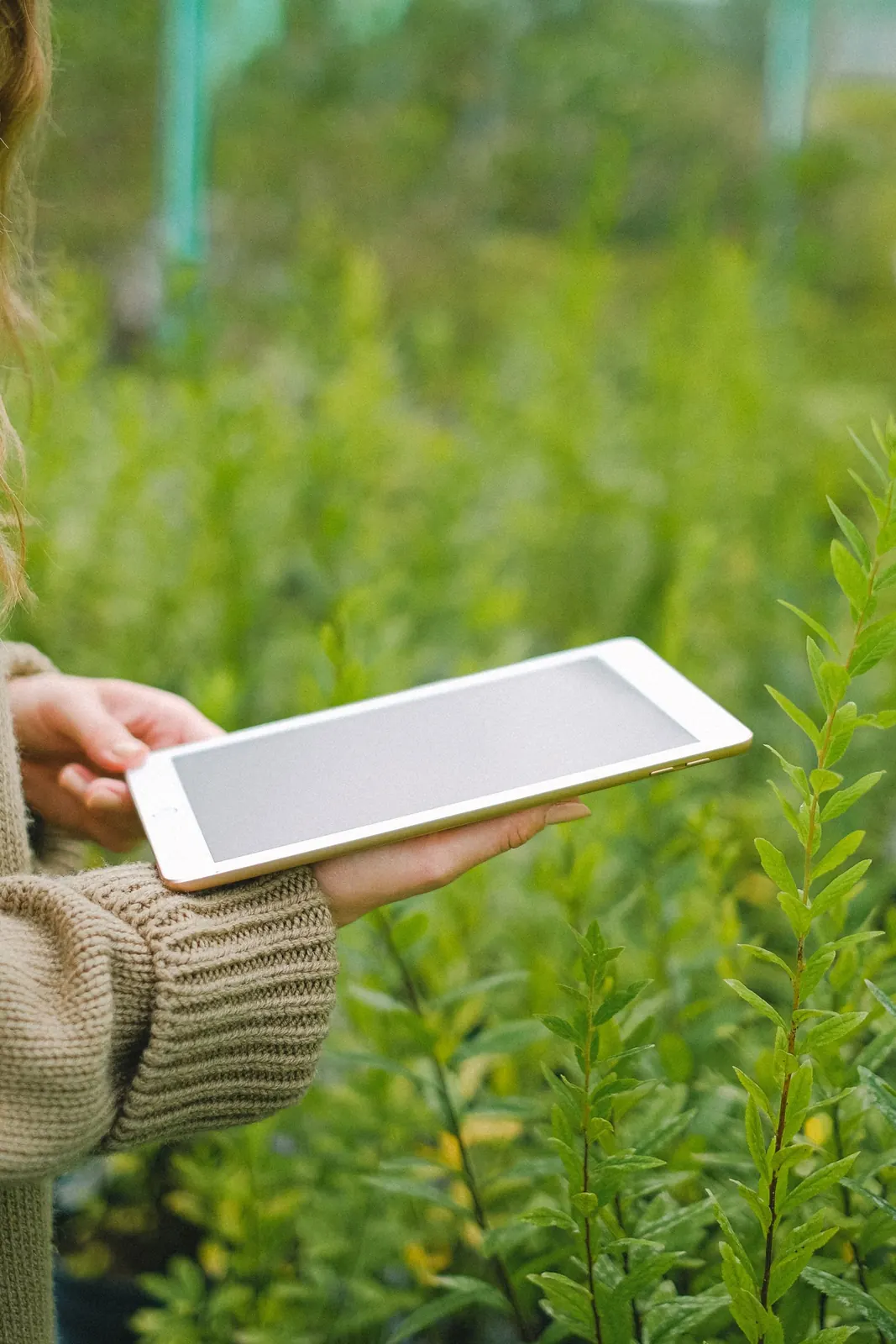 Manos con suéter beige sosteniendo una tableta, sin logo visible, entre plantas verdes