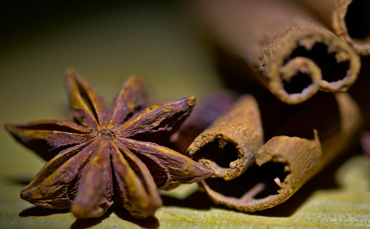 Primer plano de anís estrellado y ramas de canela en tonos cálidos
